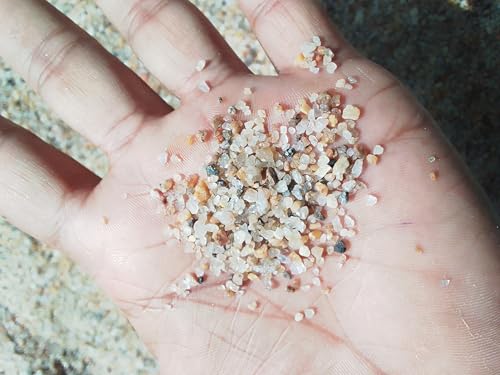 Image of Natural River Sand | Plants Soil Mix Additive Adenium Cactus Succulent Bonsai | Fire Pits, Garden Landscaping, Decorative Sand for Vase Filler, Candle, Wedding, Home Decor & Crafts (2.8 Kg)