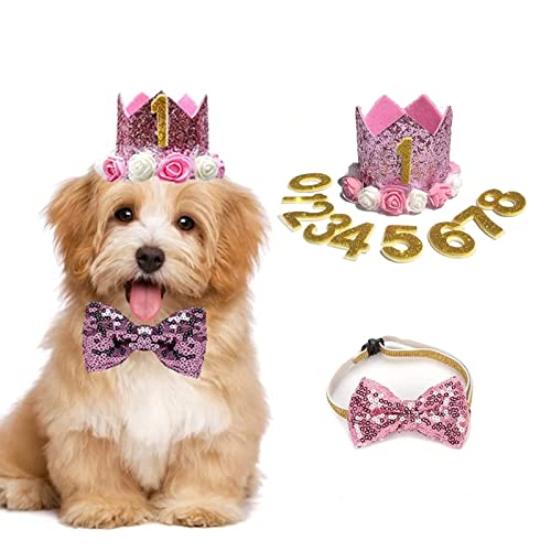 Geburtstagshut für Hunde, Katze, Hund, Geburtstagskrone, Hut und Fliege mit 0–9 Figuren, Charms, Partyzubehör für kleine, mittelgroße Welpen, Kätzchen, Blau (rosa)