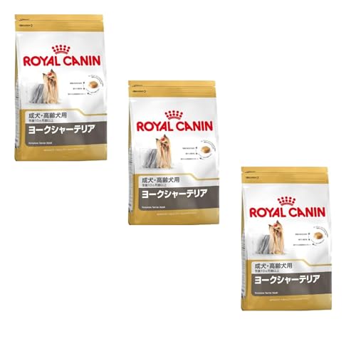 CJi BHN [NV[eA Ep 800g×3Zbg