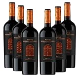 Sierra Cantabria Colección Privada - Ideal para Maridar con Carne y Comida Mediterránea - Pack 6 Botellas 75cl