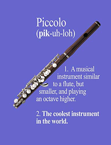 Piccolo: The Coolest Instrument In The World (InstruMentals Notebooks)