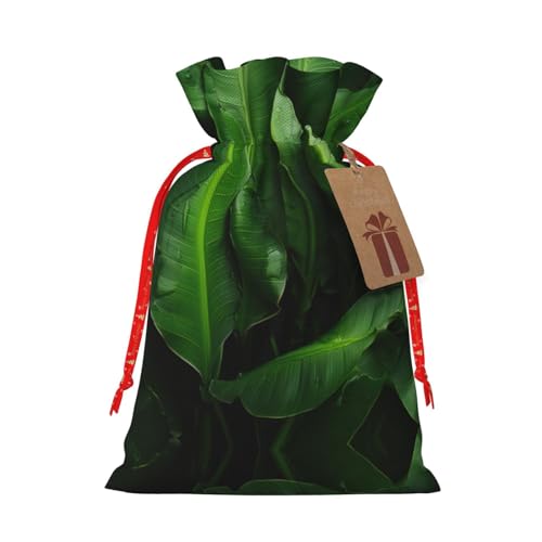 Surtido de hojas de plátano frescas para cumpleaños, aniversarios, fiestas, bolsas reutilizables