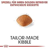 ROYAL CANIN Golden Retriever Adult | 3 kg | Trockennahrung für Hunde | Speziell für ausgewachsene und ältere Golden Retriever | Ab dem 15. Monat | Unterstützung von Haut und Fell