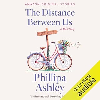 The Distance Between Us cover art