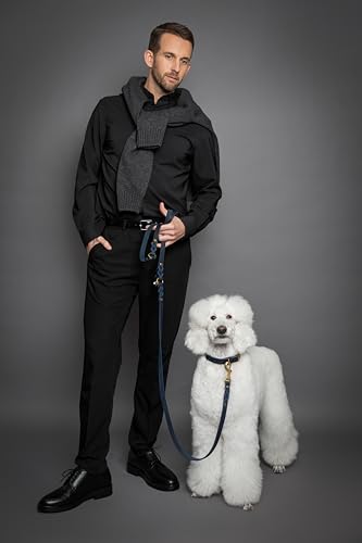 Laisse en cuir pour chien Noah & Paw 2,4 m réglable multi-position