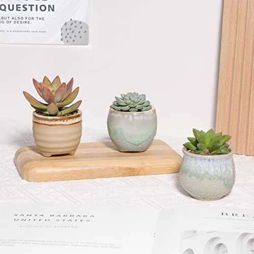 T4U Small Ceramic Succulent Pots With Drainage Set Of 6, Mini Pots For Plants, Tiny Porcelain Planter, Air Plant Flower Pots Cactus Faux Plants Containers, Modern Decor For Home And Office #TOP3