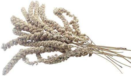 millet spray hamster