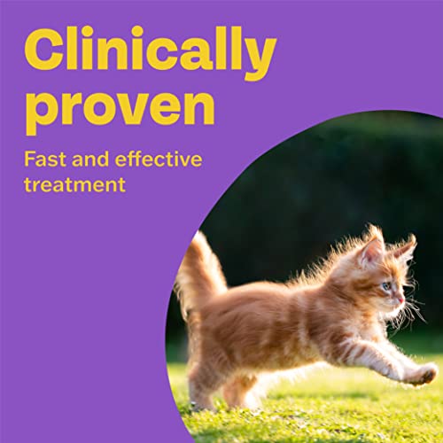 Bob Martin Clear Wormer Treatment for Cats (2 Tablets) - Suitable for Kittens, Clinically Proven Treatment - Image 4