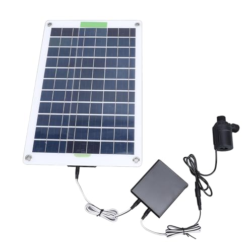 Kit de Bomba de Agua Solar, Panel Solar de Silicio Monocristalino de 100W, Bomba de Fuente Solar Silenciosa de 5m con...