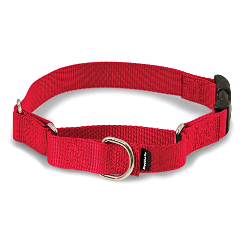 PetSafe Martingale Dog Collar with Quick-Snap Buckle – Medium, 1 Inch, Red