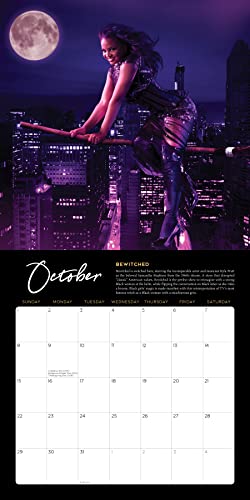 2023 Black Hollywood Wall Calendar: 12 Months Of Iconic Movie Moments Reimagined With Black Stars (Photography Art Gift) #TOP5