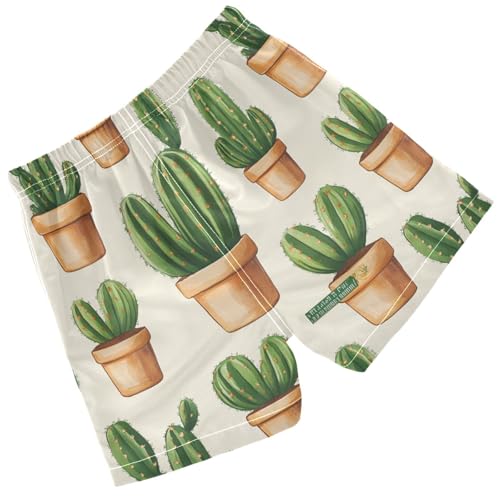 Pigsaly Boys Swim Trunks Cute Cactus Hand Drawn Succulent Boys Board Shorts Swimsuit Swimwear Summer Bathing Suit 5T2