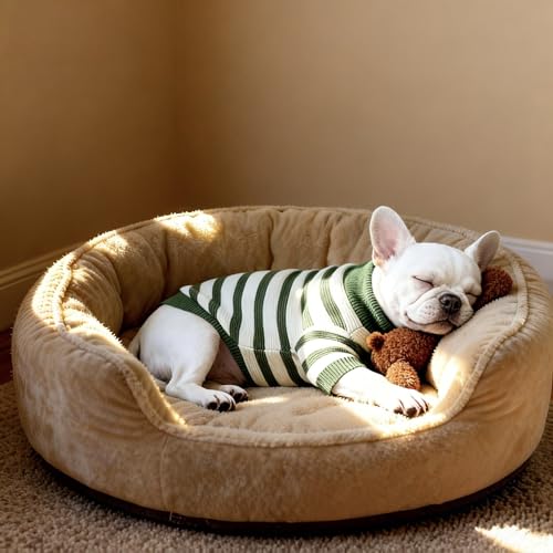Image of Small Dog Sweater, Knitted Striped Pullover Dog Clothes, Indoor Cozy Stretchy Pajamas for Chihuahua, Bulldog, Dachshund, Pug(Green&White Strip, L)