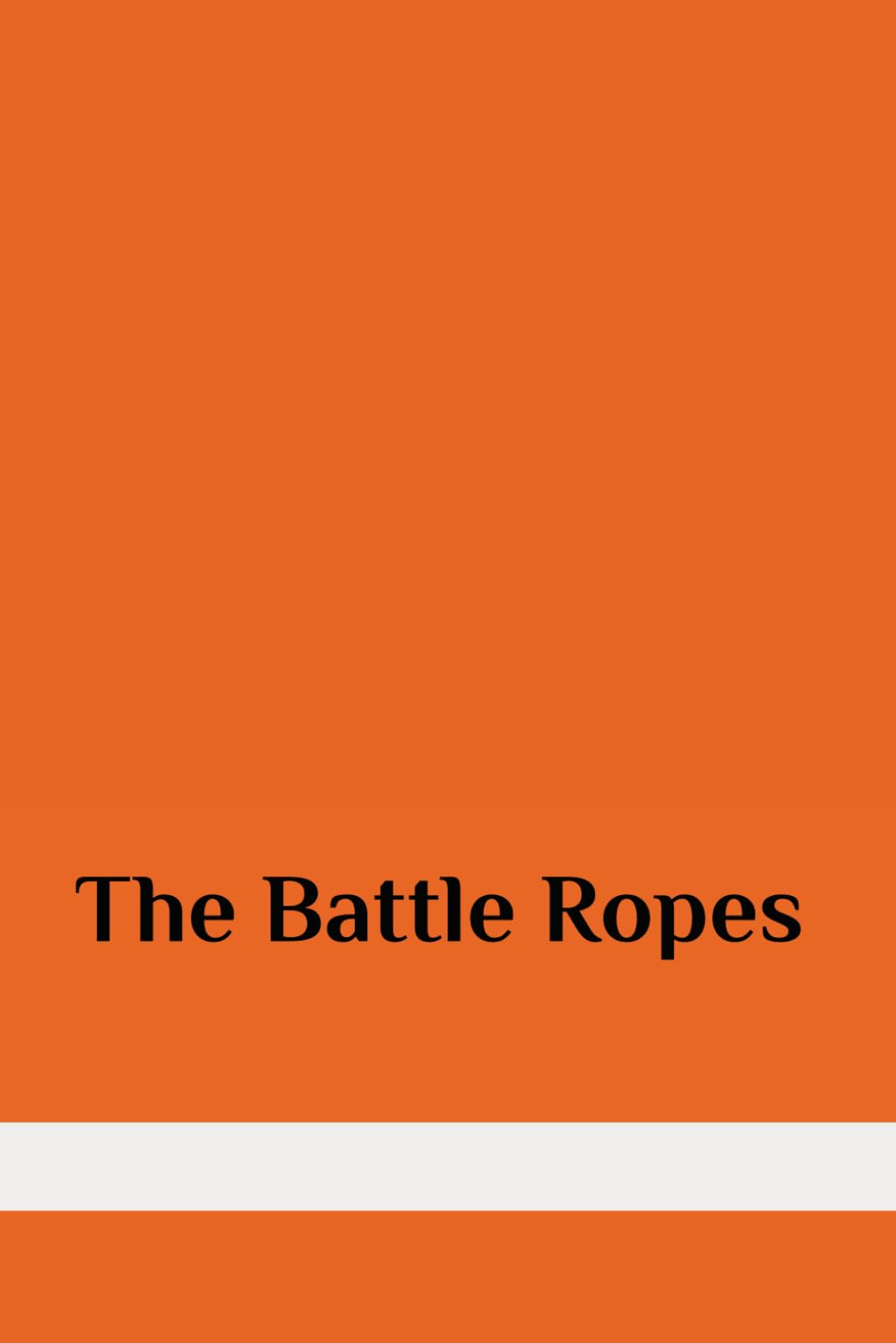 The Battle Ropes (Northwick Fitness)