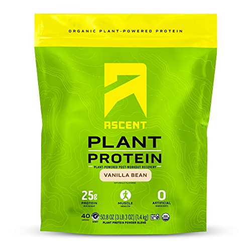 The 10 Best Non Dairy Protein Powders Reviews & Comparison Glory Cycles