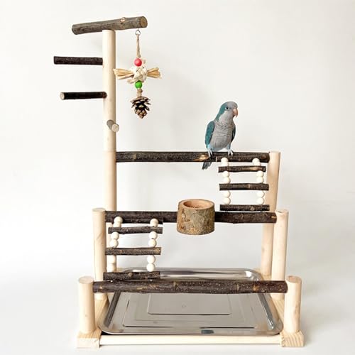 Support de cage à perroquet en bois et accessoires interactifs - 8