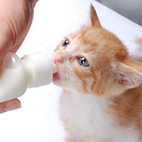 Pet Nursing Bottle Kits Nursing Bottle Kits Replacement Nipple Cat Feeding Bottle for Newborn Kittens, Puppies, Rabbits, Small Animals Pet Nursing Bottle Kits Nursing Bottle Kits Replacement Nipple Cat Feeding Bottle for Newborn Kittens, Puppies, Rabbits, Small Animals