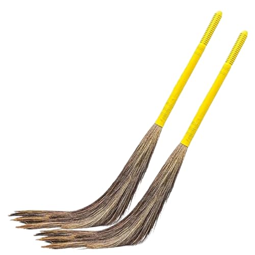 Image of Phool Broom, Long Handle, Easy Floor Cleaning 350g(Multi-use), Pack of 2
