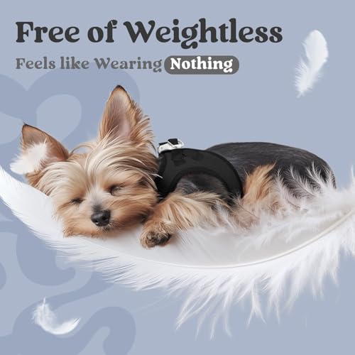 rabbitgoo Dog Harness Small Breed, Step-in Soft Mesh Puppy Vest with Safety Buckle, Breathable Reflective No Pull Pet Harness for Small Sized Dogs, Black M by rabbitgoo - Image 5
