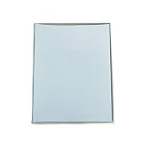 Blumberg's Security Paper (Light Blue, 100 sheets)