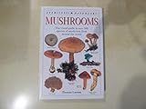 Mushrooms: The Visual Guide to More than 500 Species of Mushroom From Around the World (Eyewitness Handbooks)