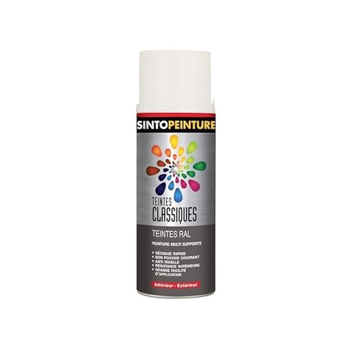 Peinture DSTOCK60 Blanc 9010-400ml Radiateur