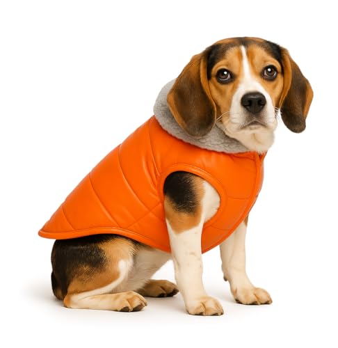Image of The Pets Company Dog Winter Coat Jacket, Clothes, Windproof, Waterproof, Light Weight, Washable, Ultra Warm Thick Fleece Lined Dog Vest for Cold Weather Protection, (Orange, Medium - 20 Inch)