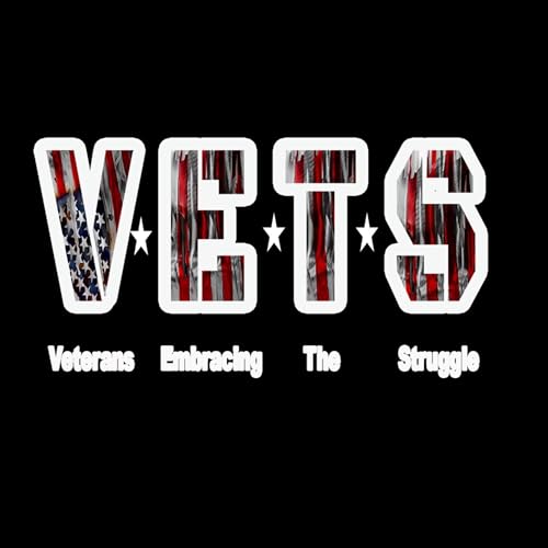 The VETS Struggle cover art