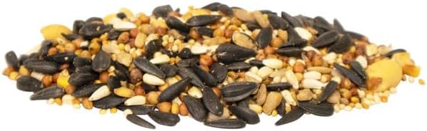 BestNest Wild Bird Seed Mix, Firebird Blend, 25 lbs.