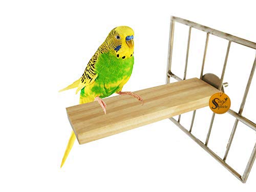 Sage Square Natural Wood Platform Cum Perch Cum Stand Bird Toy Ideal for Finch, Canary, Lovebird, Budgerigar, Budgeri (Light Weight) (2"x5.5") (B07V9VB4ZP) Amazon Price History, Amazon Price Tracker