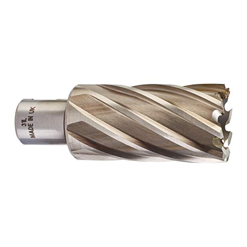 HSS-freeskroon 31 x 50 mm