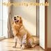 LYPPUL 3 Stück Ellenbogenbandage Hund, Recovery Sleeve Hund, Ellbogenschoner für Hunde, Hundebeinschutz, Mittelgroße und Große Hunde Chirurgie Erholung Recovery Sleeve für Vorderbeine (2XL)