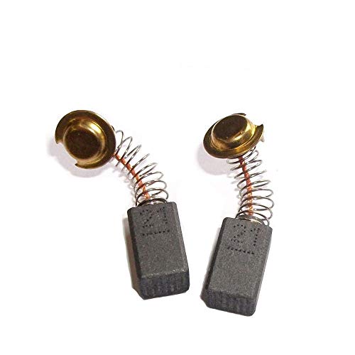 SUPERTOOL - Juego de 10 escobillas de carbón de repuesto para motor eléctrico