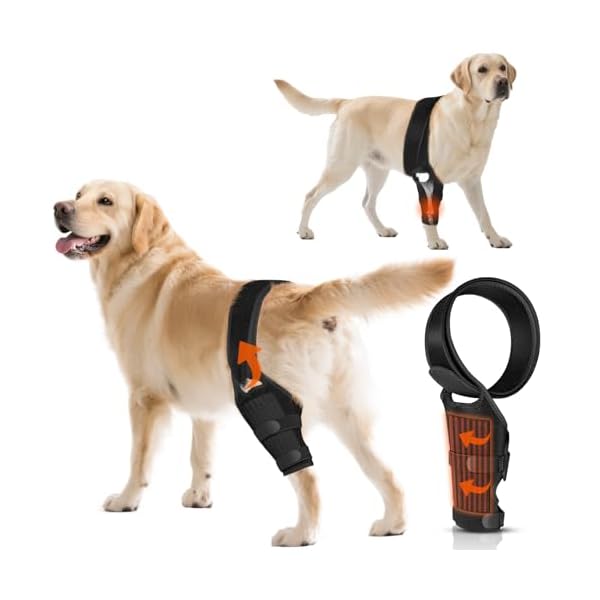 Dog Knee Joint Metal Sheet Support Brace Relieve ACL/CCL Pain, Hip Dysplasia, Stabilize Joints, Post-Surgery Aid Recovery, Arthritis Osteoarthritis, Suitable for 4 Limbs Brace, XL Size Dogs