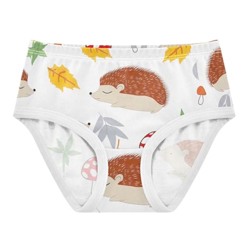 Cotton Toddler Underwear Floral Cute Hedgehogs White Cute Panties Girl Flower Kids Briefs Undies 2t