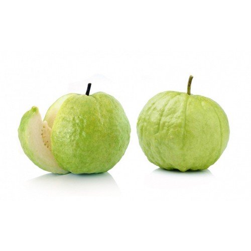 Creative Farmer Fruit Seeds : Exotic Fruit Seeds - Giant Thailand Guava Seeds Thai Guava Fruit Plant Seeds For Garden Fruit Seeds Kitchen Garden Pack (B075PWYQSP) Amazon Price History, Amazon Price Tracker