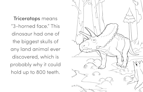 Coloring Book Box Set: 3 Books for Coloring Fun and Awesome Facts about Dinosaurs,Bugs,and Wild Animals(Perfect Gift for Kids Ages 3-7) (A Did You Know? Coloring Book) - Image 5
