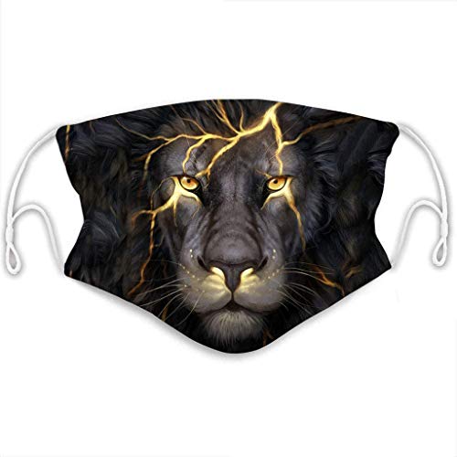 Preisvergleich Produktbild Face Cover Gesichtsmaske Multifunktionstuch Motorrad Winddicht Atmungsaktiv Wiederverwendbare Mundschutz Halstuch Schön Atmungsaktiv Sommerschal Masken Unisex Augenschutz (G)