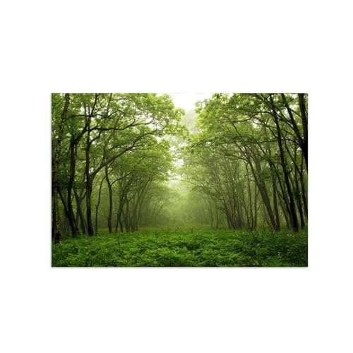 Tableau sur toile forêt paysage vert 80x120cm sans cadre pour salon