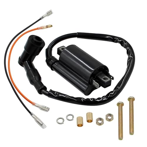 Bobina de encendido para solucionar la falta de potencia en motores de Quad KLF300