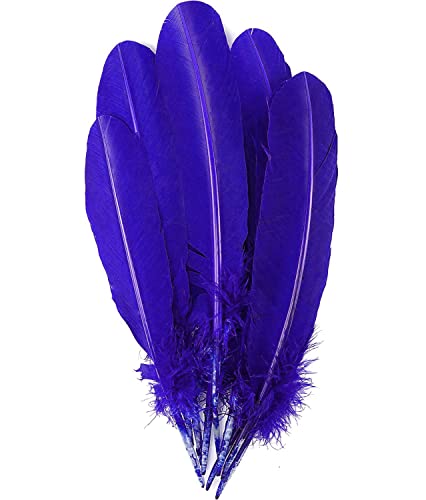 Plumas Manualidades Decoración de Colores para Fiesta, Plumas Carnaval Decorativas India para Manualidades, 20PCS, 28-30 CM (AZUL)