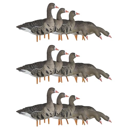 Avian-X AXP Specklebelly Decoy Fusion Pack with Lasting Finish and Custom Fitted Bag for Hunting Use, Outdoor Sports, and Recreation, 18 Pack