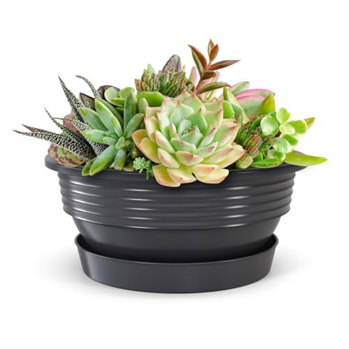 Plastard Pflanzenschale Ø 40 cm mit Untersetzer rund – Anthrazit – Ansicht 2