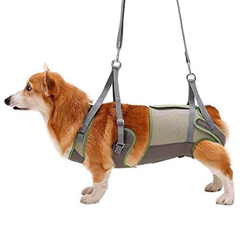 Amazon | 犬 歩行補助ハーネス 介護 ハーネス 胴輪 LaLaWalk ララ