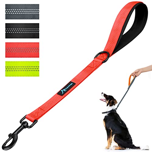 Correas Perros Grandes con Dos Asas Marca PuppyDoggy