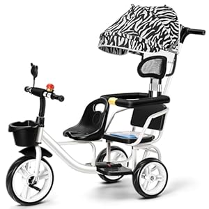 Myrtfk 4 in 1 Dreirad kk123