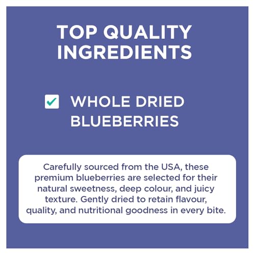 Image of Nutty Gritties Dried Blueberries 150g | Naturally Sweet & Tangy | Antioxidant-Rich Blueberry Snack | Healthy Snack for Kids & Adults | Resealable Pouch