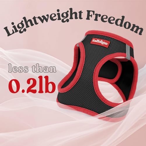 rabbitgoo Dog Harness Small Sized and Leash Set, Step in Soft Vest | Breathable Mesh, Easy Wear with Hook & Loop, Light and Reflective for Walking, Multi-colored, Black & Red, S - Image 7