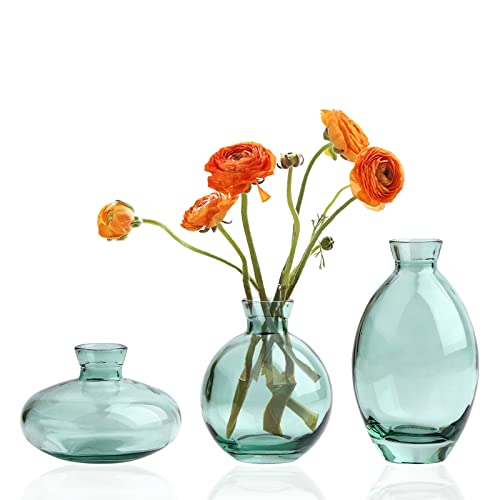 3-Teilige Kleine Vase, Handmade Klarglasvasen Für Blumen, Vintage Mini Vase Für Tischdeko, Hydroponic Glasvase, Green Cover