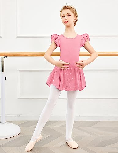 Image of Arshiner Girls Shiny Ruffle Sleeve Ballet Leotard with Skirt Criss-Cross Back Dance Dresses